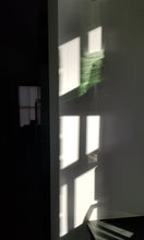 Load image into Gallery viewer, Windows - Green Gaze, 2021